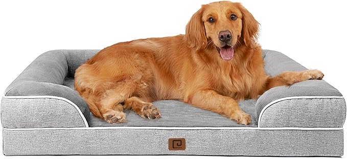 BEST CARE FOR MEDIUM-SIZE DOGS