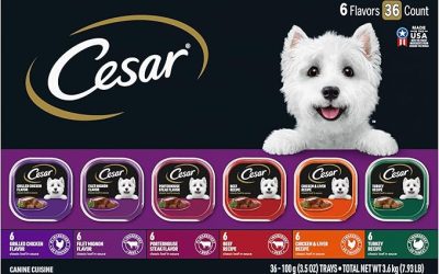 BEST WAYS FOR CARING FOR SMALL DOGS