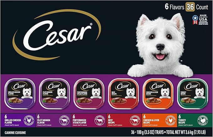 BEST WAYS FOR CARING FOR SMALL DOGS